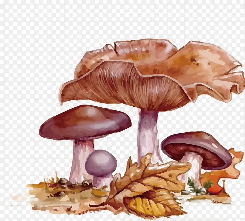 矢量蘑菇