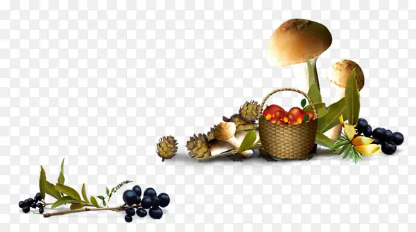 葡萄蘑菇蔬菜