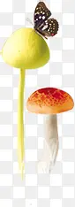 可爱彩色蘑菇蝴蝶