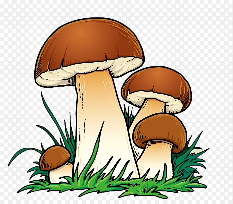 蘑菇 可爱 卡通 彩色