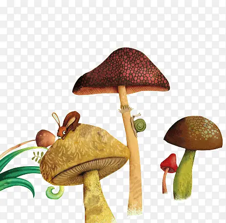 蘑菇红色蘑菇绿色叶子