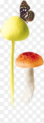 黄红色蘑菇蝴蝶装饰
