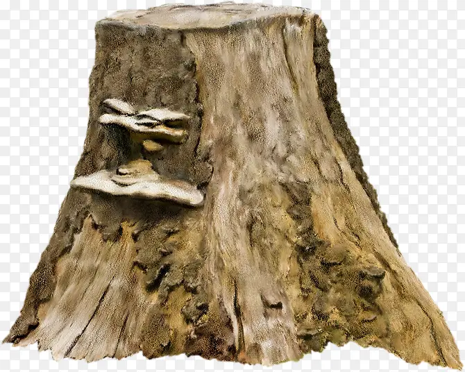 长蘑菇的树桩