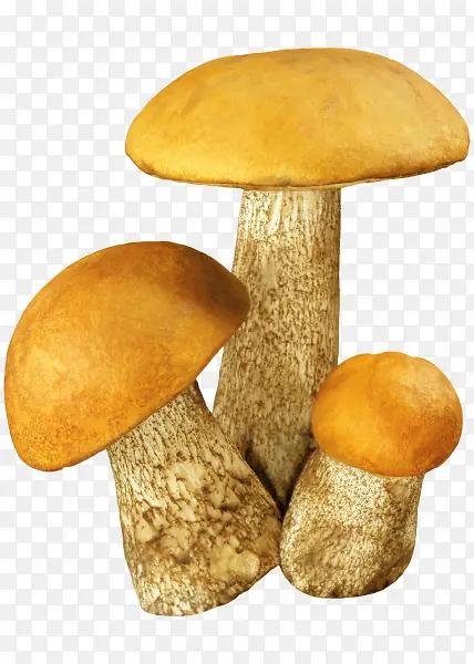 蘑菇绿色植物蘑菇图标