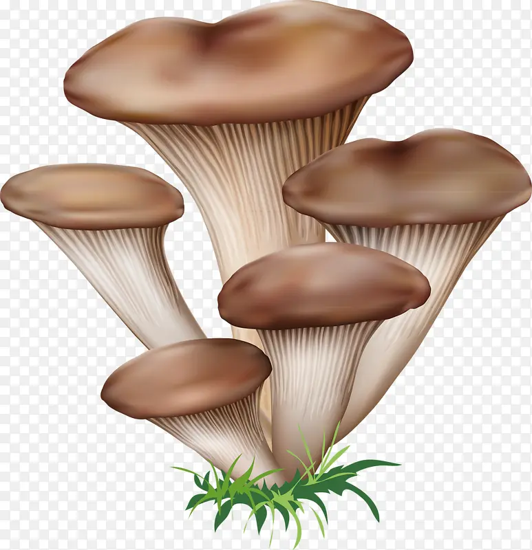 卡通蘑菇png素材