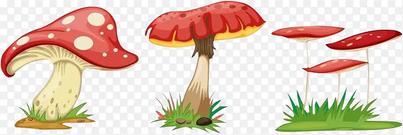 卡通蘑菇装饰