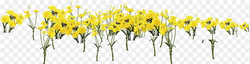 黄色小花幸福家庭素材