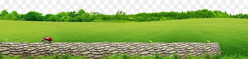 风景
