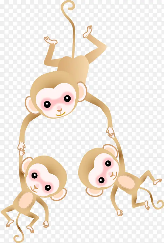 猴子