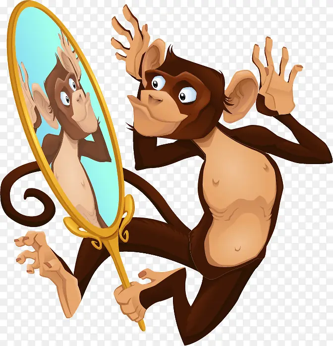 照镜子猴子
