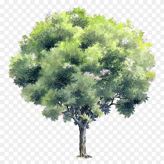 手绘树木元素绿色树木图片