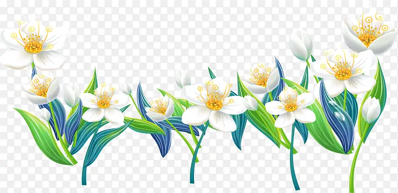 手绘白色花朵蓝色叶子装饰