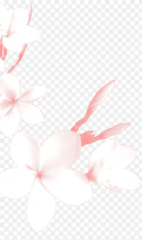白色花朵手绘白色花朵花瓣