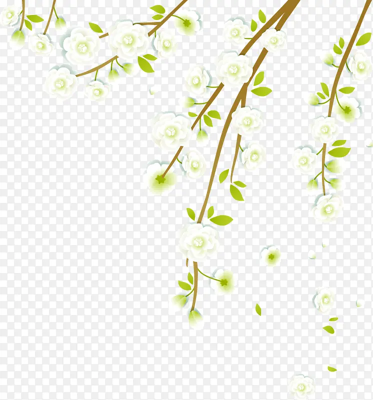 白色清新花朵植物卡通