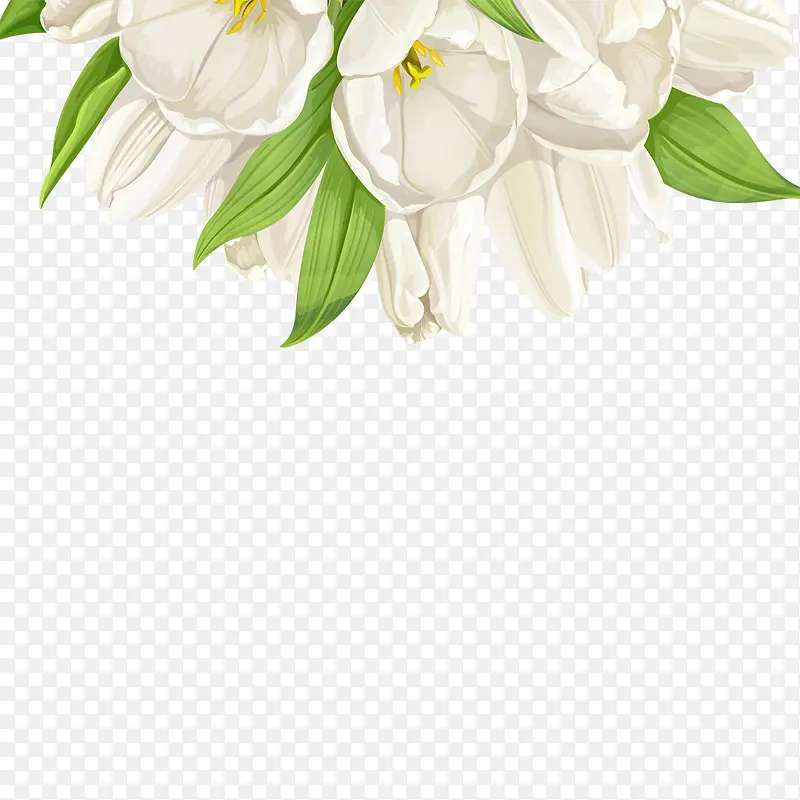 白色小清新花朵