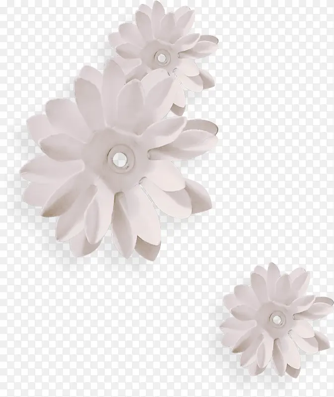 白色小花