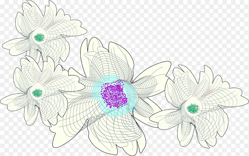 白色线条花朵手绘