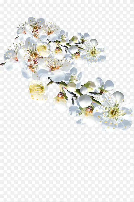 白色桃花花朵装饰