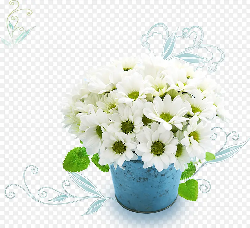 花朵白色纯洁花盆