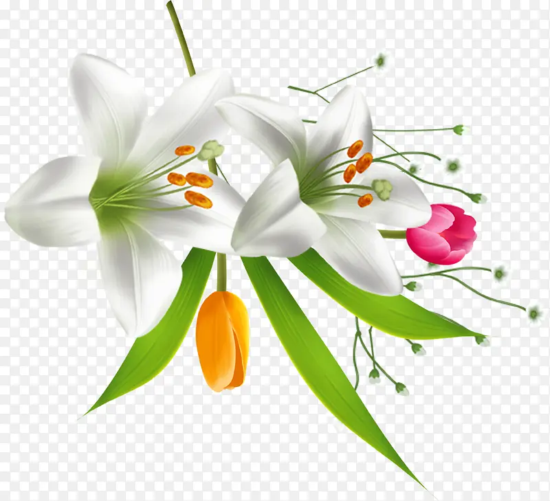 白色卡通唯美花朵植物