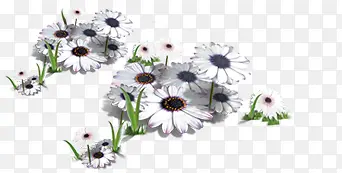 合成创意白色的花朵效果