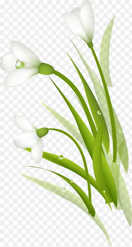 白色纯洁花朵植物卡通
