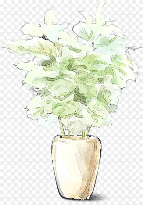 手绘唯美白色花朵植物