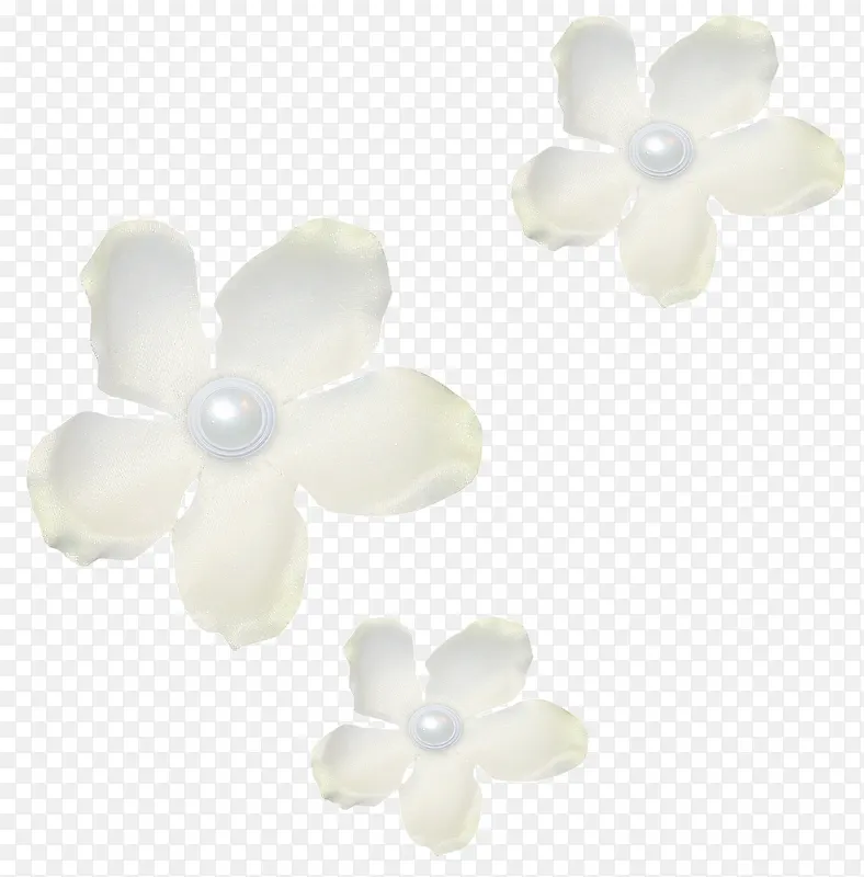 白色花朵