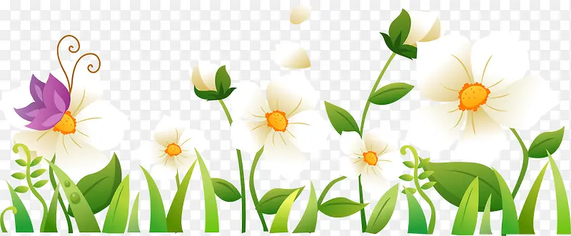 花朵白色设计植物效果