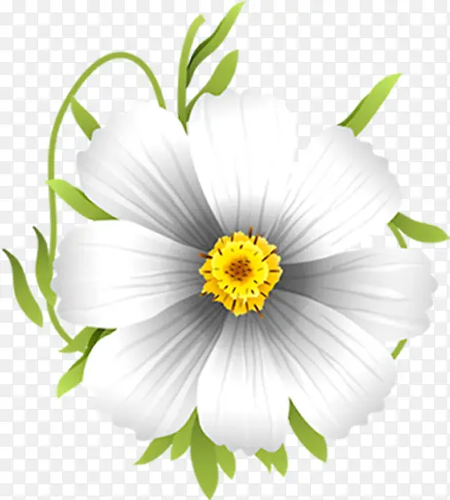 植物白色卡通花朵