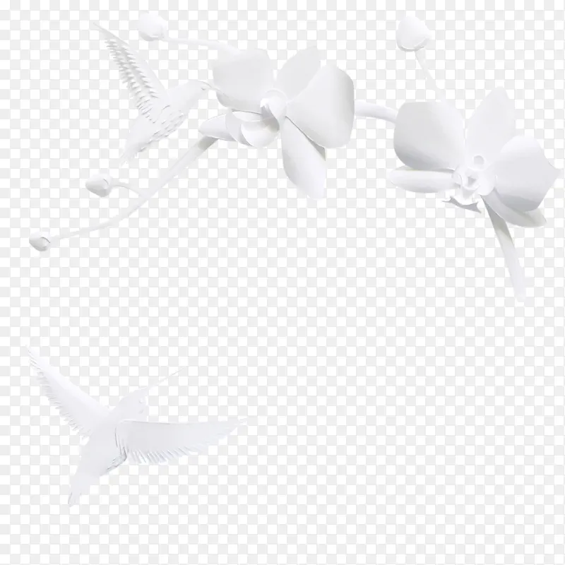 白色花朵小鸟元素