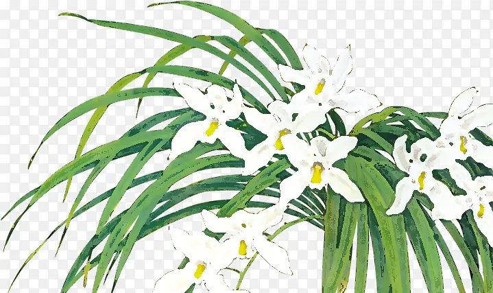 白色花朵植物美景水墨