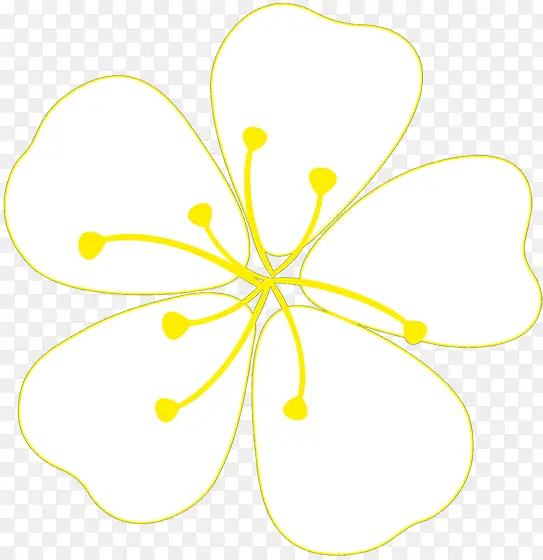 白色黄心花朵