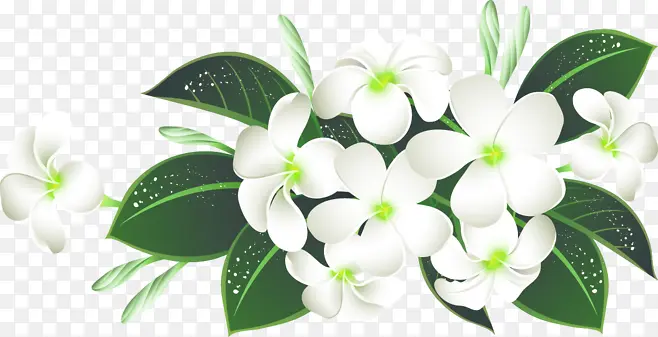 白色花朵装饰