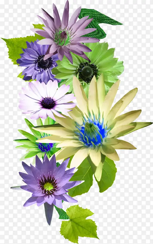 紫色白色蓝色花朵