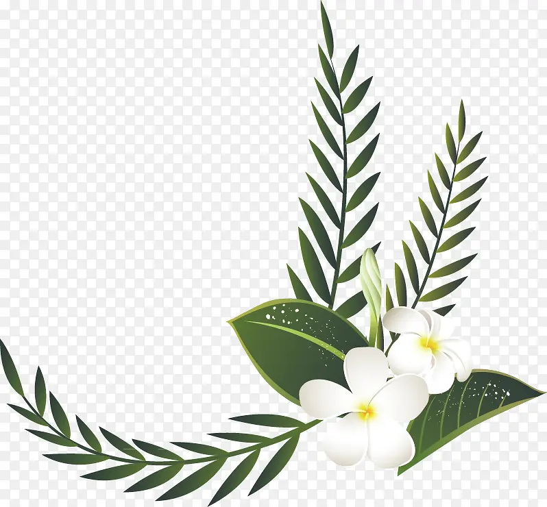 创意手绘扁平风格白色花朵植物