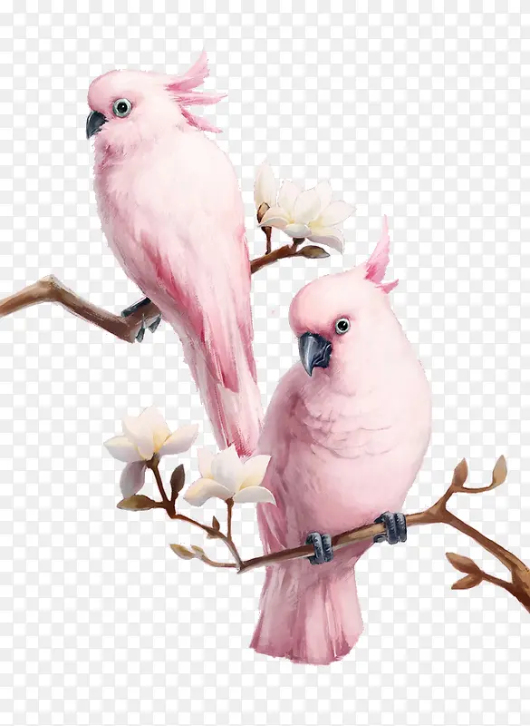 树枝上的粉色鹦鹉