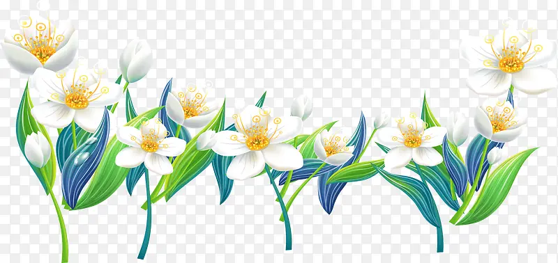 夏日卡通海报手绘植物花朵白色
