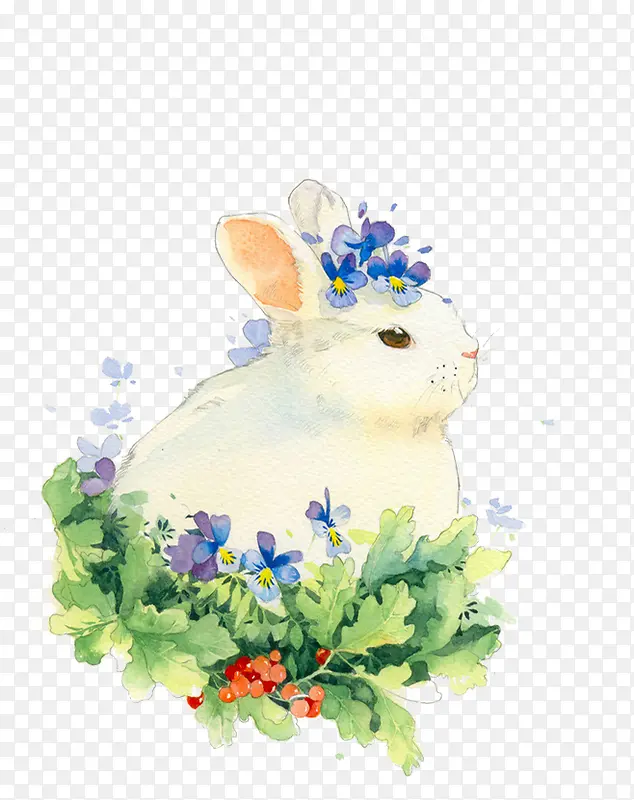 手绘白色兔子花朵