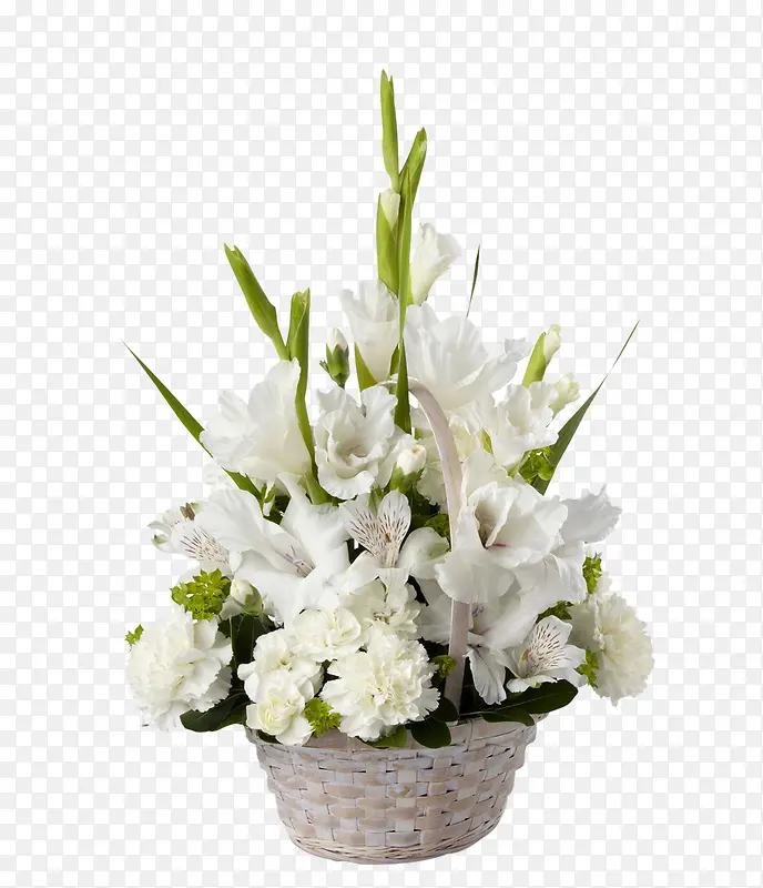 白色花朵插花