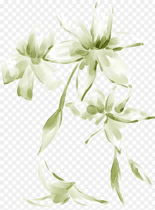 手绘白色清新花朵