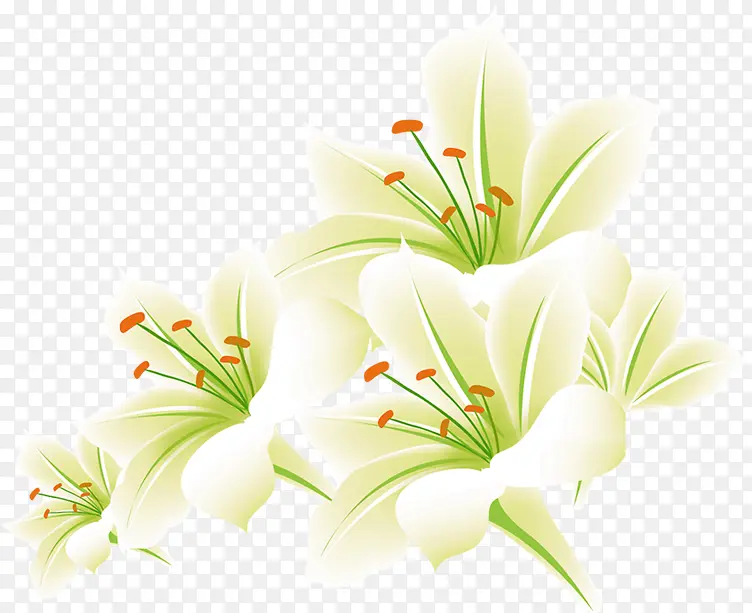 手绘白色花朵美景节日