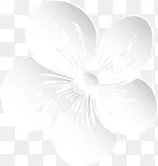 白色创意手绘花朵唯美