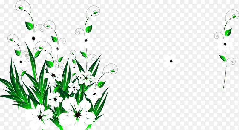 白色唯美田园花朵