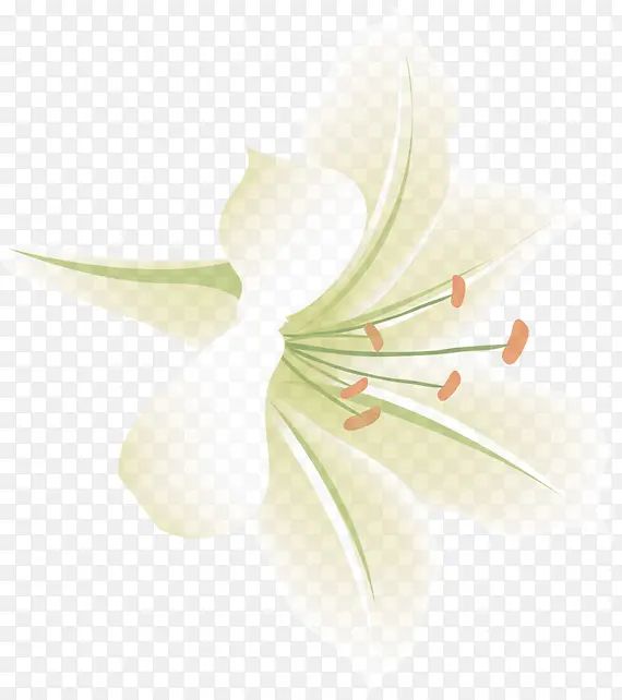 文艺白色花朵美景
