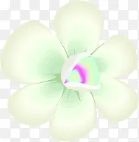 白色花朵情人节修饰元素