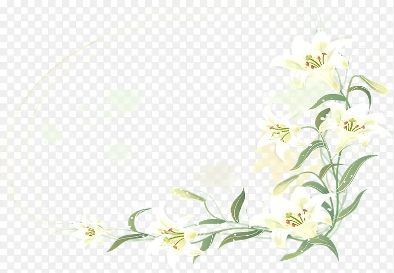卡通手绘白色花朵边框