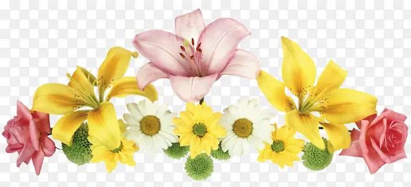 黄色白色花朵装饰图片