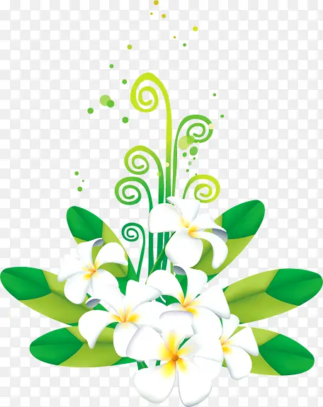 绿色树叶花朵白色