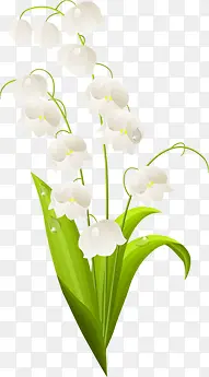 春天白色手绘花朵装饰